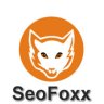 seofoxx